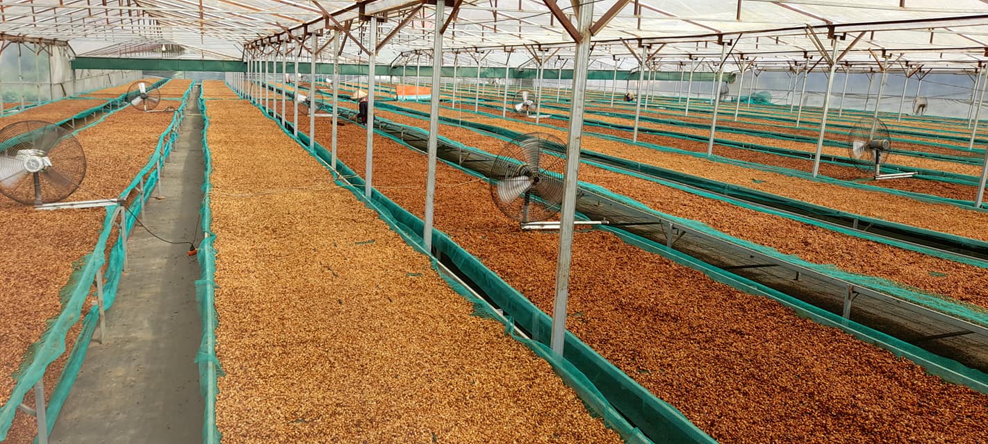 Bộ quà tặng cà phê nghệ nhân